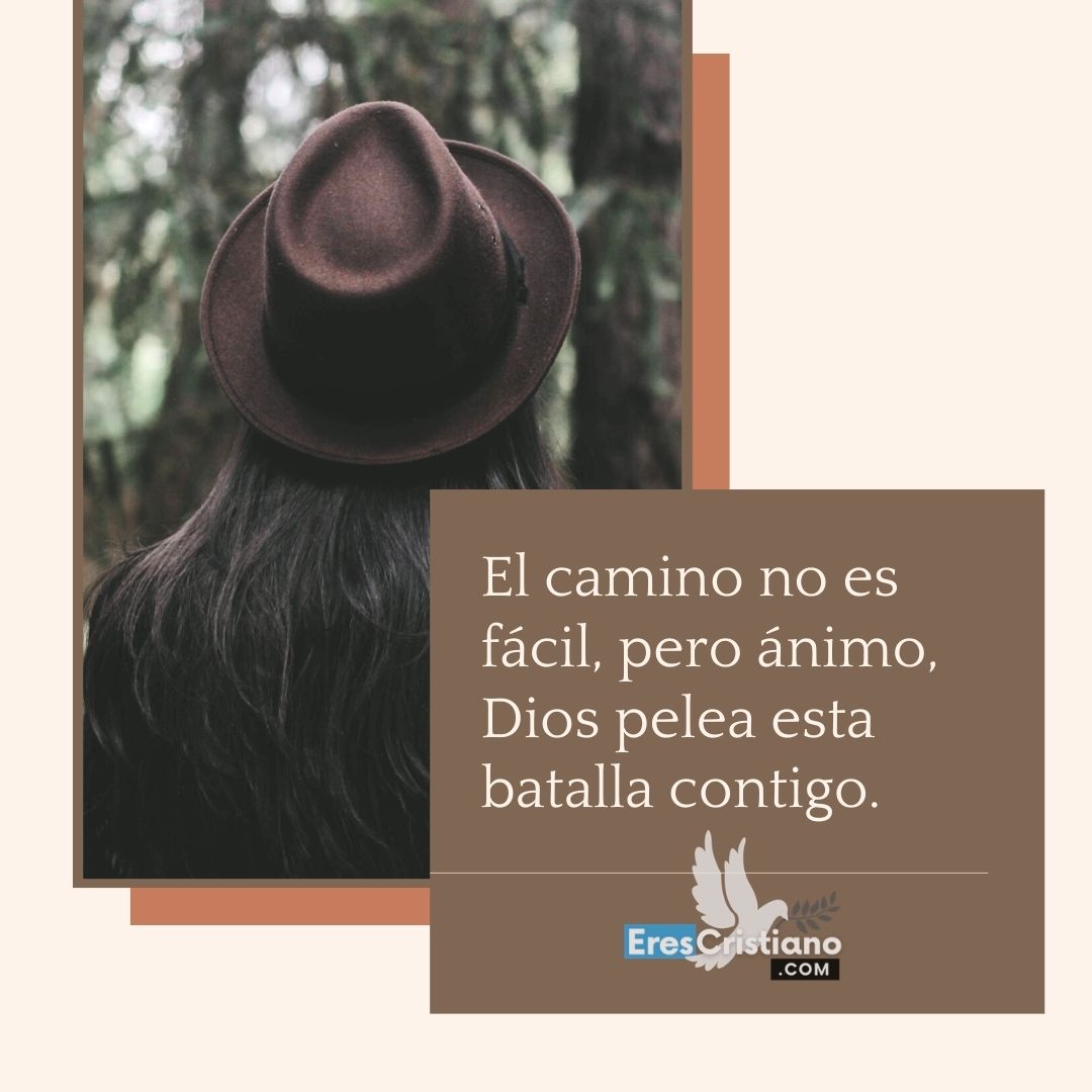 Ánimo frases