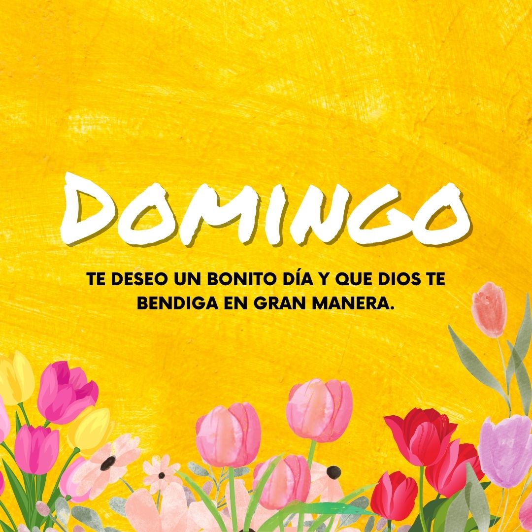 feliz domingo con jesús