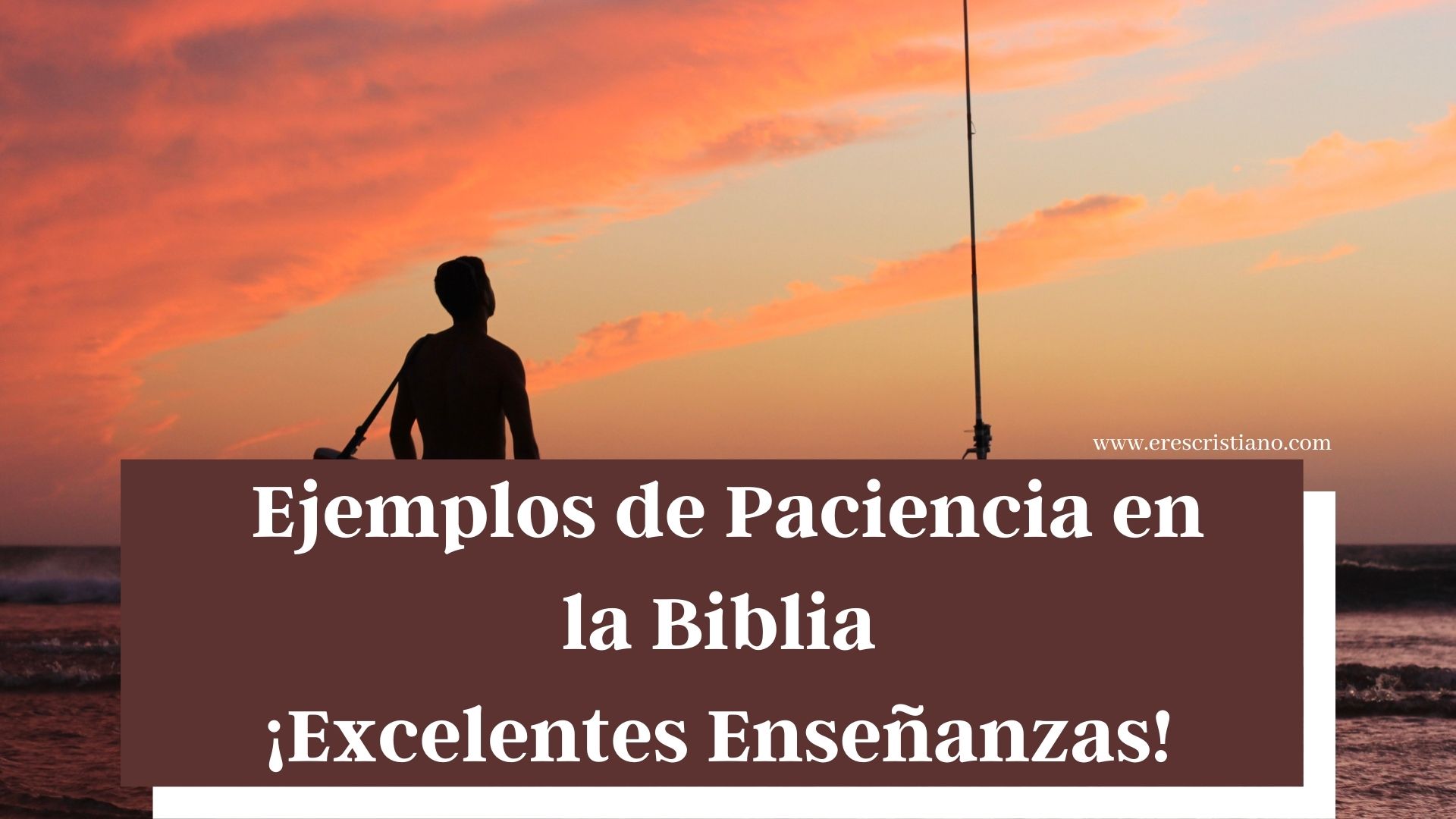Ejemplos De Paciencia En La Biblia Para Niños