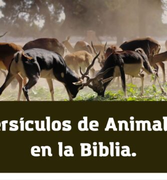 versículos de animales en la Biblia