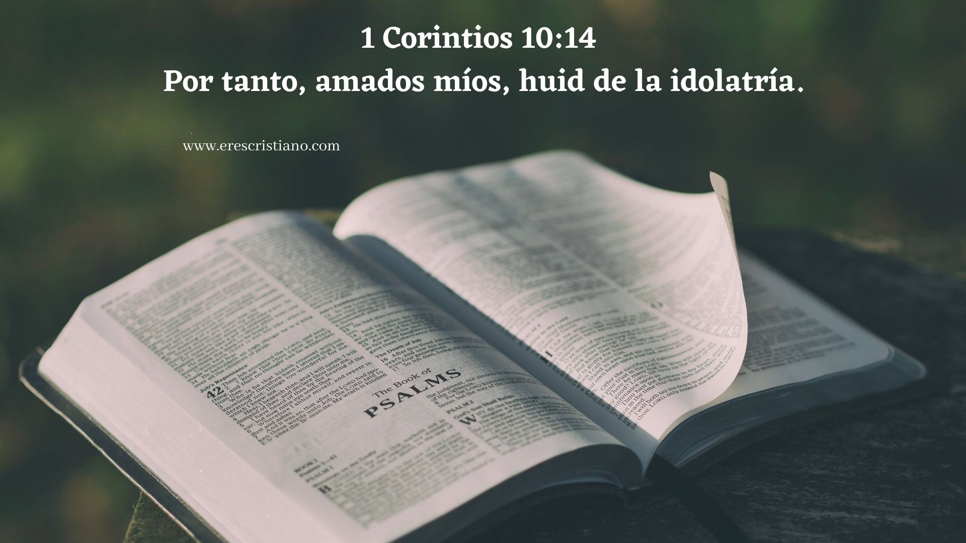 Consecuencias de la Idolatría.