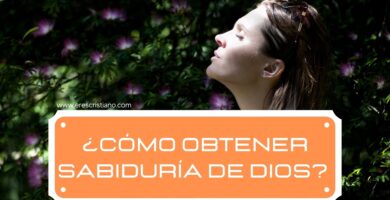 conoce como obtener sabiduría de parte de Dios