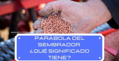 Parábola del Sembrador ¿Qué Significado tiene?