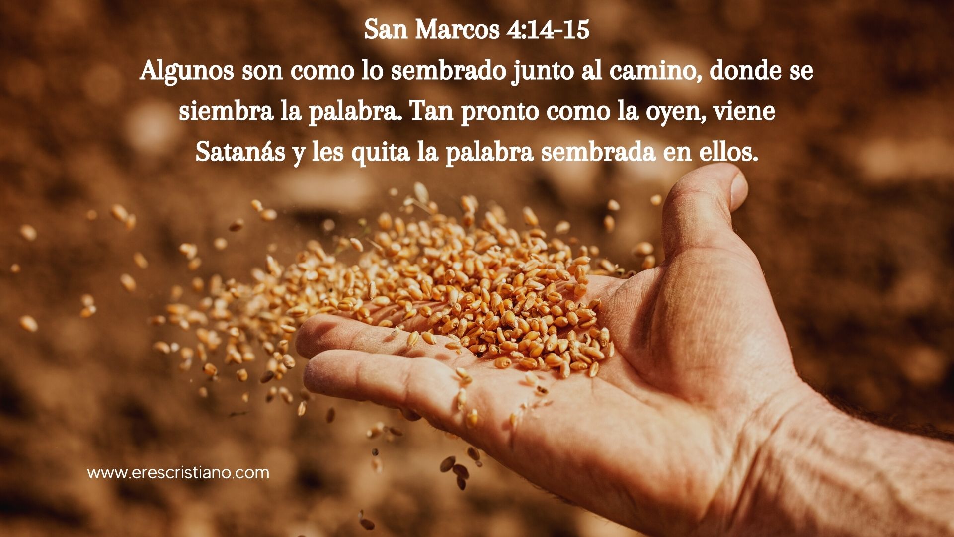 Qué significado tiene la Parábola del Sembrador