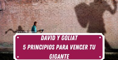 David y Goliat: 5 Principios para Vencer tu Gigante