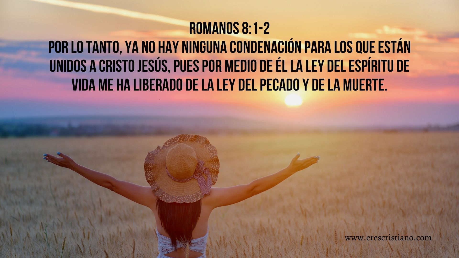 La verdad os hará libres