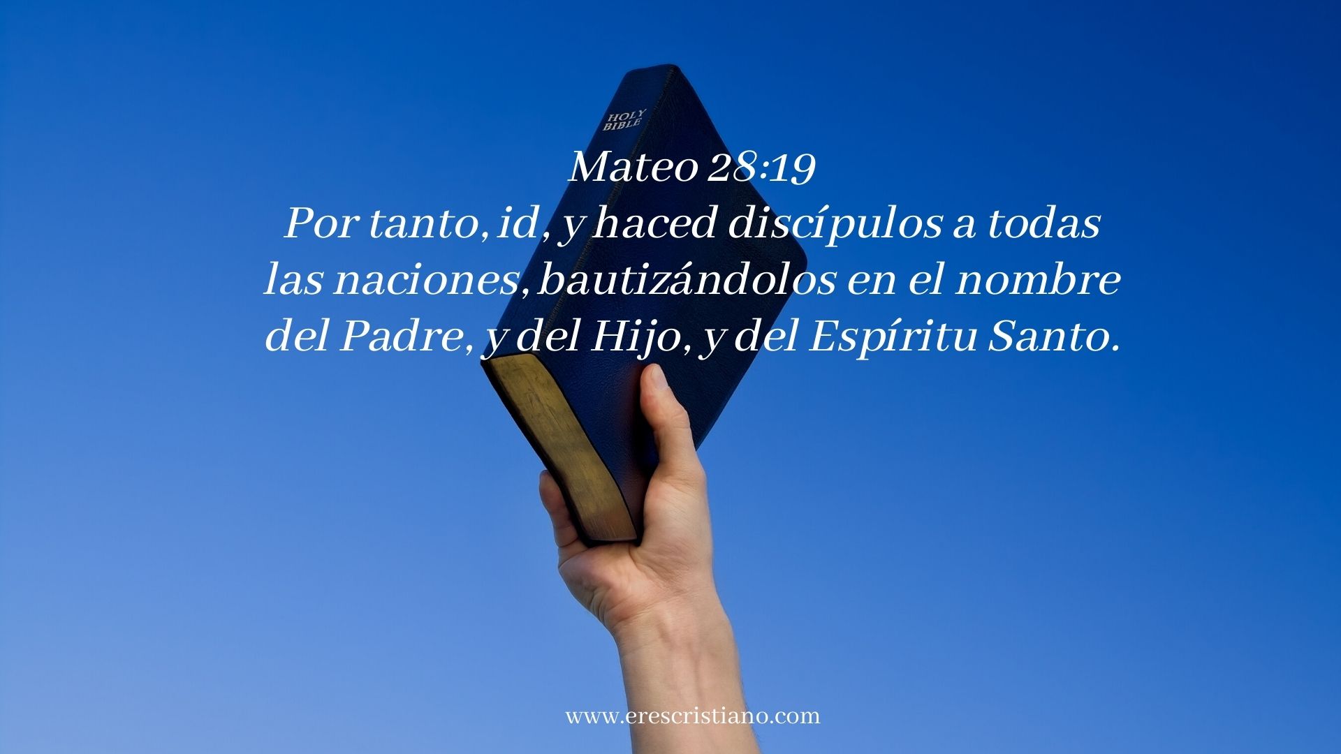 La voluntad que debemos seguir es la de Dios