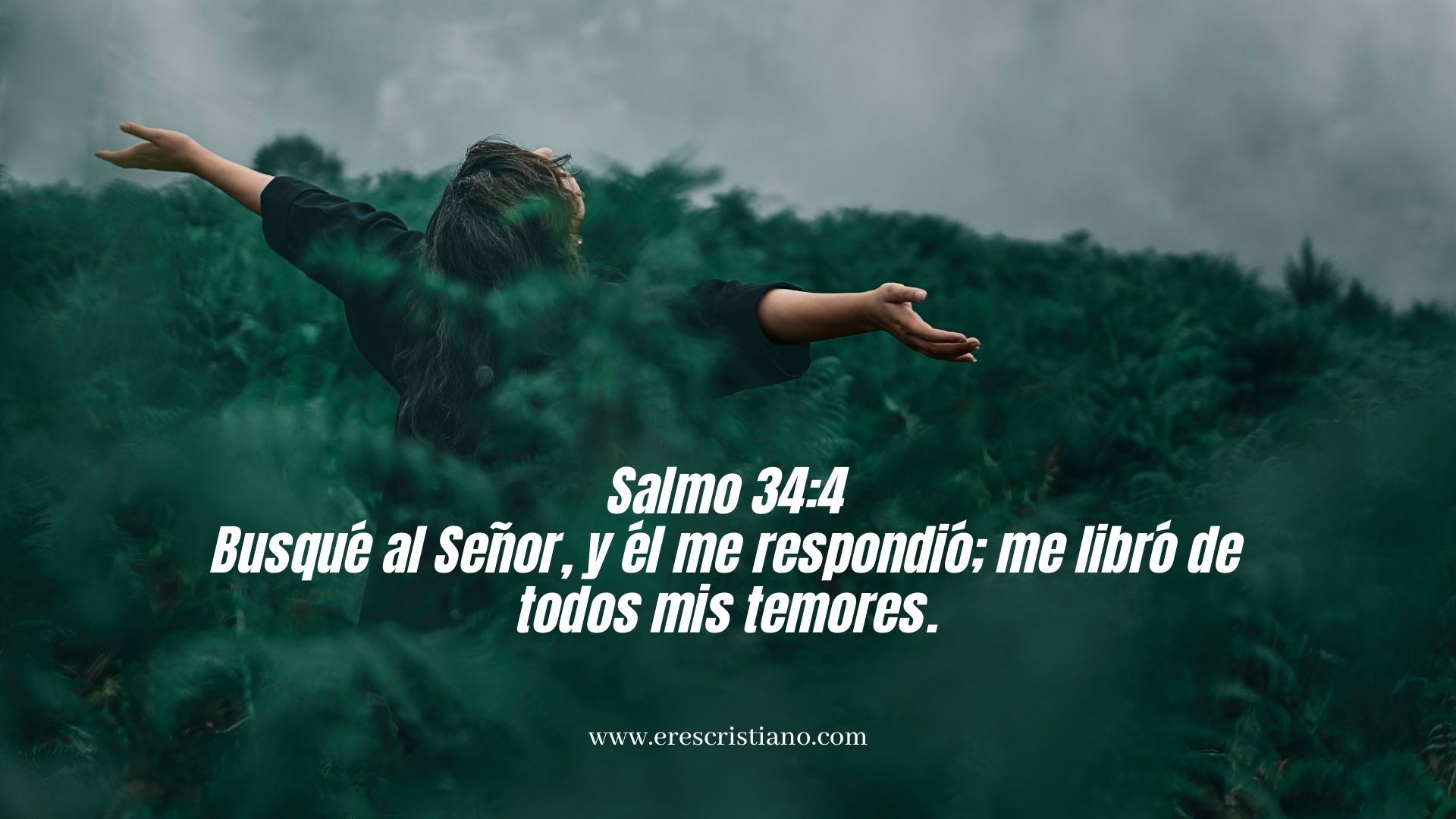 Solo en Jesús encontramos libertad