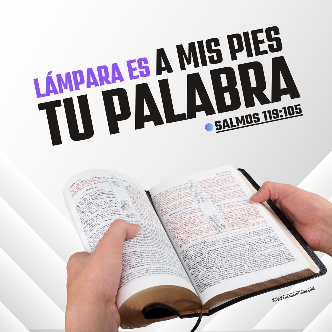 versiculos de la biblia