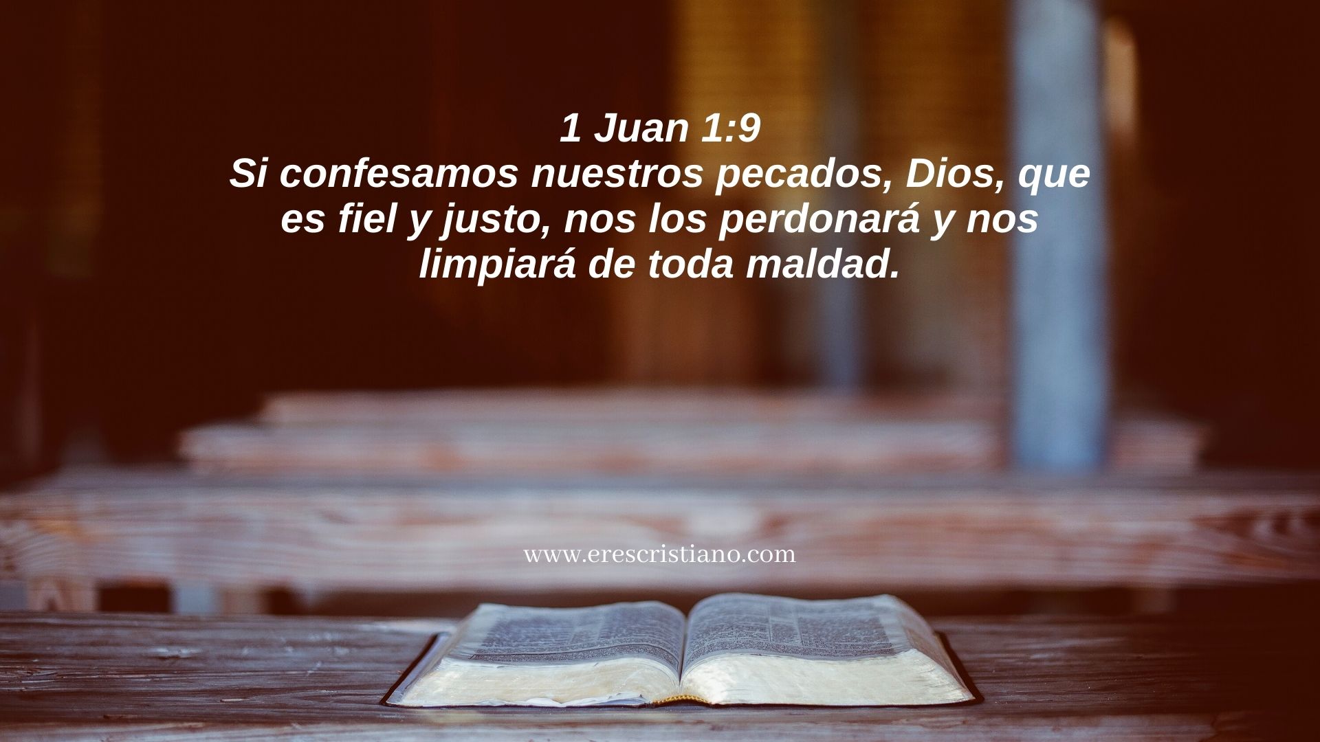Detalles de cada versículo