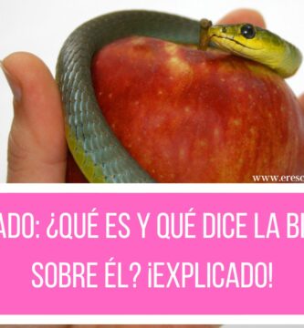 PECADO: ¿Qué es y qué dice la Biblia sobre él? ¡Explicado!