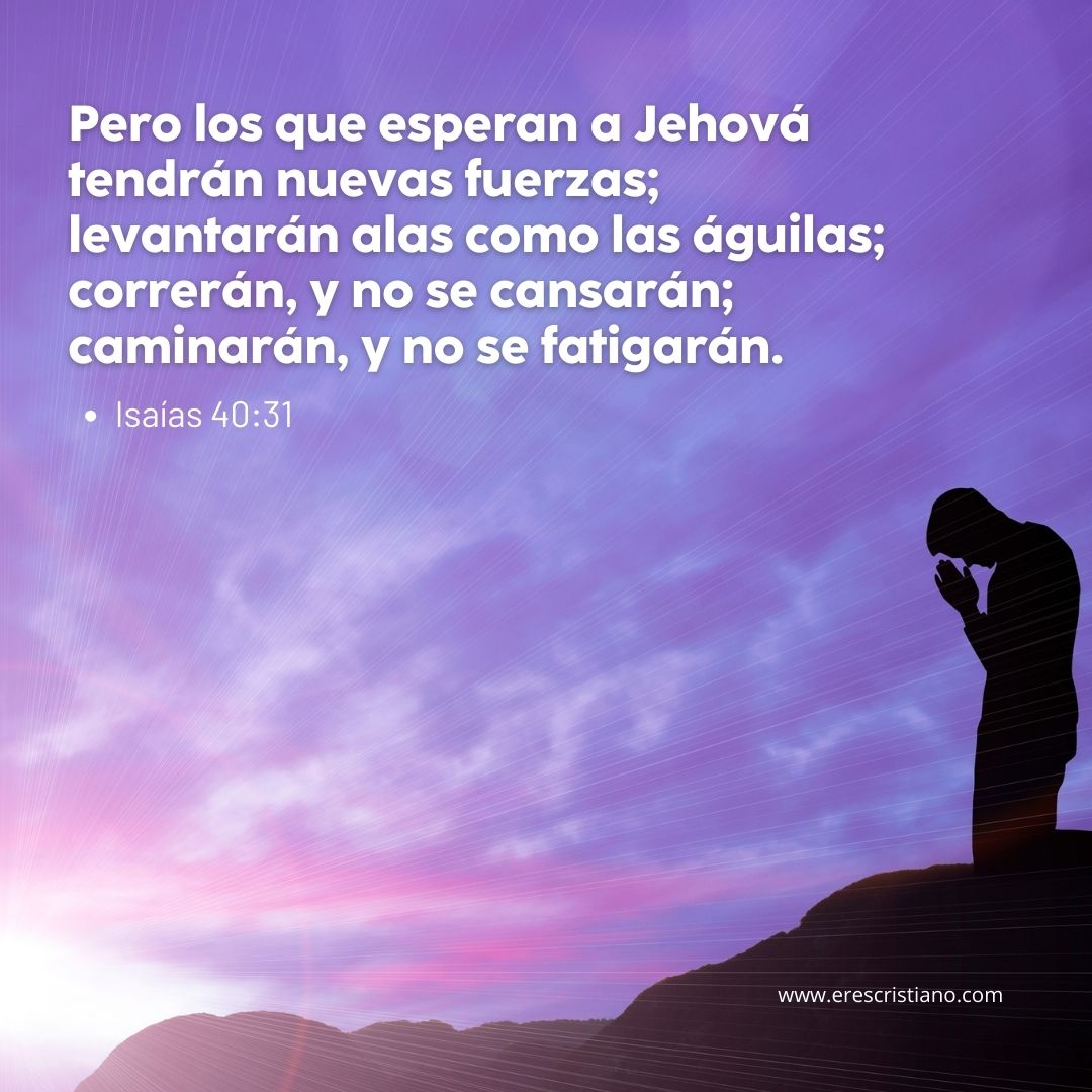 versículo de ánimo